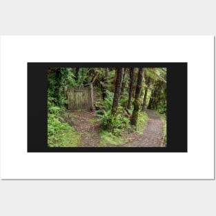 Forest paths. Posters and Art